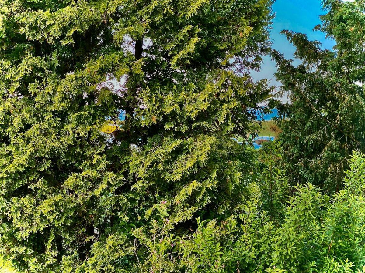 Casa Raphael Direkt Am Scharbeutzer Strand Exteriör bild
